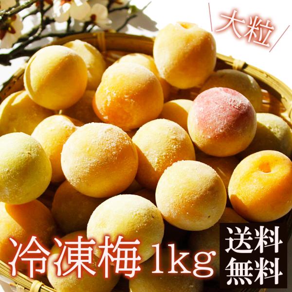 冷凍 梅 紀州南高梅 大粒 完熟 1kg 梅干し 酒 ジュース ジャム
