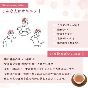 梅と醤油のほうじ番茶 250g 梅 お茶 梅醤...の詳細画像5