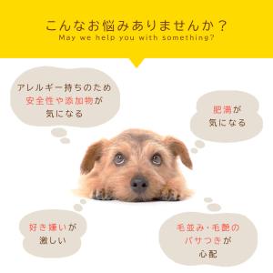焼き芋キューブ 120g(60g×2袋)アニマ...の詳細画像5
