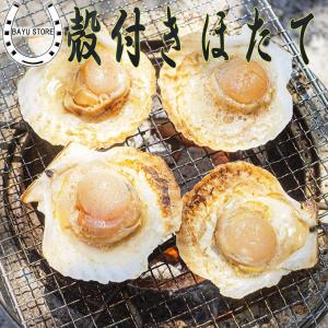 冷凍殻付き帆立8〜10枚入り /【ほたて ホタテ】 : パール食品店 - 通販