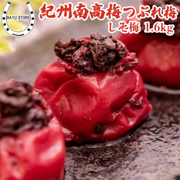 梅干し 大粒 完熟紀州南高梅 1.6kg 塩分18% 紀州南高梅 つぶれ梅 訳あり しそ梅 ホワイト...