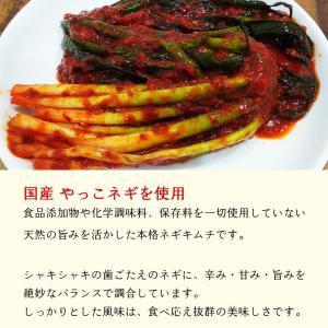 国産キムチ ネギキムチ 300g 自家製キムチ...の詳細画像2