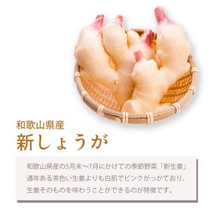 新生姜 2kg 新生姜の甘酢漬け 国産 生姜 ...の詳細画像1