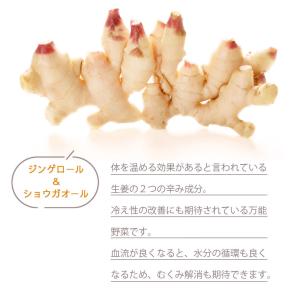 新生姜 2kg 新生姜の甘酢漬け 国産 生姜 ...の詳細画像2