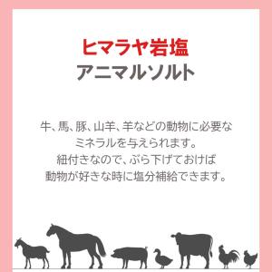 アニマルソルト ヒマラヤ岩塩 ピンクソルト 2...の詳細画像1