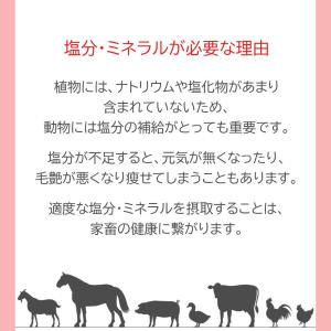 アニマルソルト ヒマラヤ岩塩 ピンクソルト 2...の詳細画像2