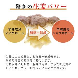 ガリ 国産 大容量 高知県産 寿司ガリ 1kg...の詳細画像4