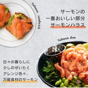 訳あり サーモン 切り落とし 骨なし 1kg(...の詳細画像3