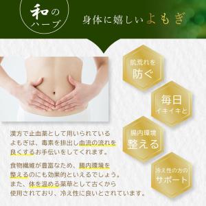 よもぎ パウダー 50g 国産 きめ細かい粉末...の詳細画像2