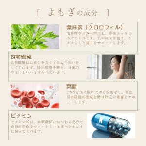 よもぎ パウダー 50g 国産 きめ細かい粉末...の詳細画像4