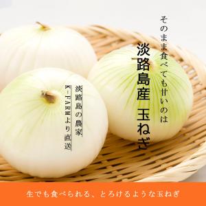 玉ねぎ 淡路島 産地直送 約3kg M-2Lサ...の詳細画像2
