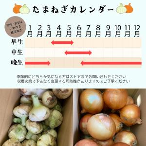 玉ねぎ 淡路島 産地直送 約3kg M-2Lサ...の詳細画像1