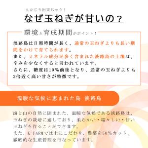 玉ねぎ 淡路島 産地直送 約3kg M-2Lサ...の詳細画像3