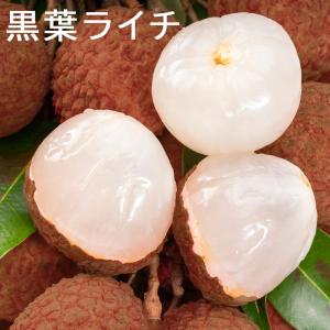 冷凍 ライチ 1kg 皮付き 黒葉種 トロピカルフルーツ 冷凍 スムージー  ライチ酒 ライチ レイシ｜