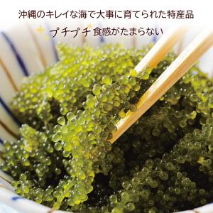 海ぶどう 沖縄産100% 塩漬け 100g シ...の詳細画像1