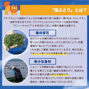 海ぶどう 沖縄産100% 塩漬け 100g シ...の詳細画像2