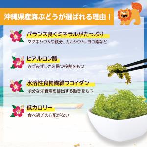 海ぶどう 沖縄産100% 塩漬け 100g シ...の詳細画像3