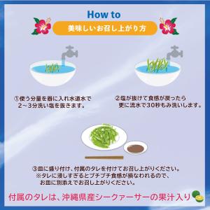 海ぶどう 沖縄産100% 塩漬け 100g シ...の詳細画像4