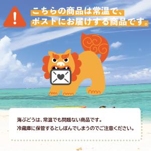 海ぶどう 沖縄産100% 塩漬け 100g シ...の詳細画像5