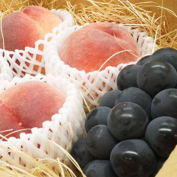 桃 4玉 種なし ぶどう 1房 敬老の日 2026 ギフト 旬 フルーツ セット 巨峰 果物 詰め合...