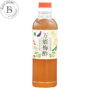 Amway（アムウェイ） エサンテ 4to1 脂肪酸バランスオイル : ビタミン