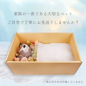 ペット用 棺 棺桶 葬儀 ダンボール製 当日発...の詳細画像1