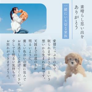 ペット用 棺 棺桶 葬儀 ダンボール製 当日発...の詳細画像4