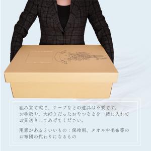 ペット用 棺 棺桶 葬儀 ダンボール製 当日発...の詳細画像5