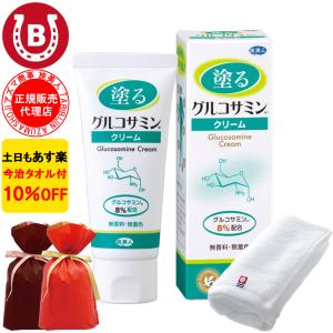 11/17(月)限定！ポイント+7％】健爽疾風（けんそうはやて） 80g