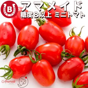 ミニトマト 1kg 通年糖度8以上 アマメイド 国産 トマト 高糖度 国産ミニトマト 大容量 内祝い お中元 贈り物 ギフト キノシタファーム 大阪｜next1021