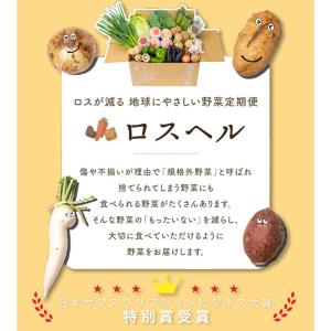 訳あり 野菜 果物 食品 ロスヘル 詰め合わせ...の詳細画像2
