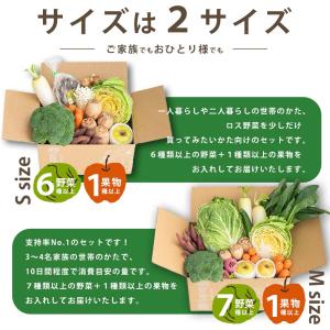 訳あり 野菜 果物 食品 ロスヘル 詰め合わせ...の詳細画像5