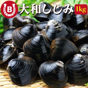 しじみ 冷凍 Lサイズ 宍道湖産 約1kg 殻付き 砂抜き済み 下処理