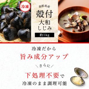 しじみ 冷凍 Lサイズ 宍道湖産 約1kg 殻...の詳細画像2