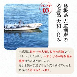 しじみ 冷凍 Lサイズ 宍道湖産 約1kg 殻...の詳細画像5