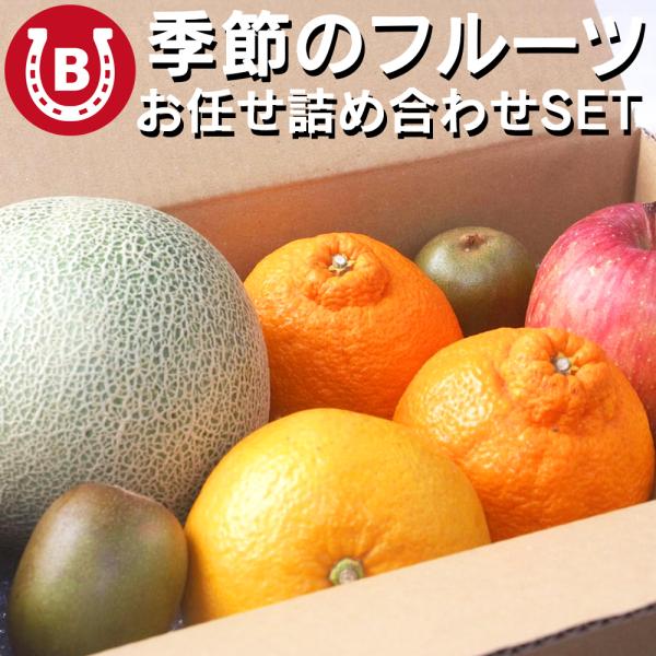 旬のフルーツ 詰め合わせ 約2kg お試し セット 果物 フルーツ パイナップル メロン りんご な...