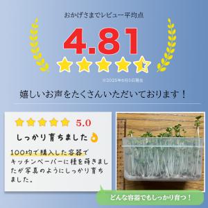 ブロッコリースプラウト 種子(300ml) 高...の詳細画像3