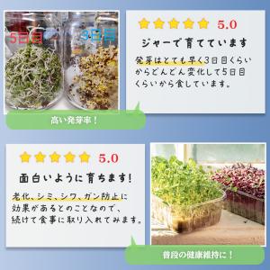 ブロッコリースプラウト 種子(300ml) 高...の詳細画像4
