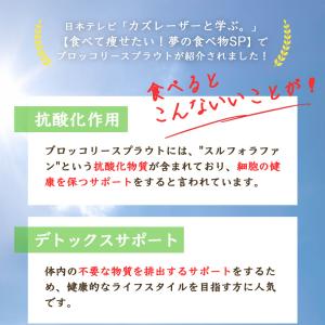 ブロッコリースプラウト種子(300ml×2袋)...の詳細画像2
