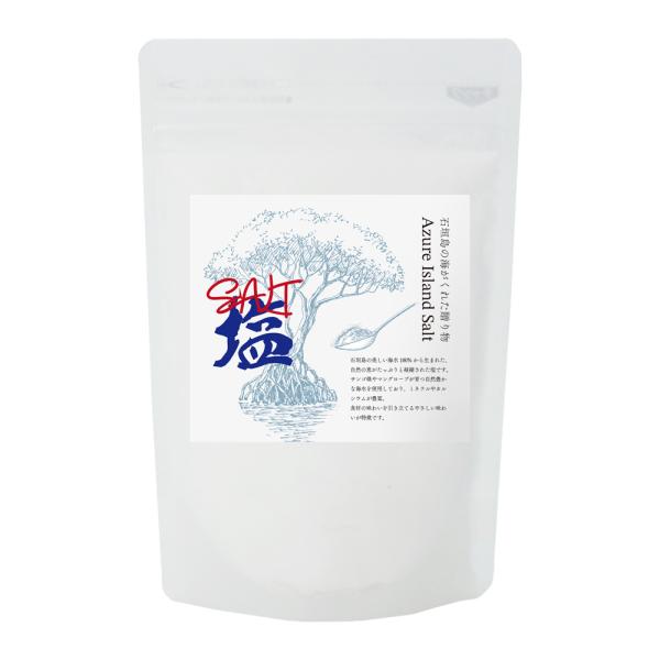 塩 国産 天然塩 170g 手作り 海水100% 沖縄県産 石垣島 おにぎり チャック付き袋 Azu...
