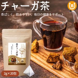 チャーガ茶 無添加 ティーバッグ (2g×20包) きのこ お茶 無添加 カバノアナタケ ノンカフェイン 爆買