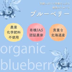 北海道産 冷凍 ブルーベリー 500g オーガ...の詳細画像2