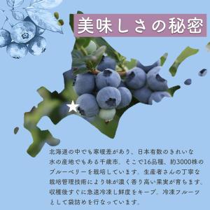 北海道産 冷凍 ブルーベリー 500g オーガ...の詳細画像3
