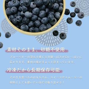 北海道産 冷凍 ブルーベリー 500g オーガ...の詳細画像4