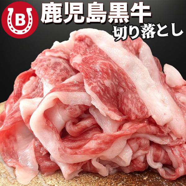 鹿児島黒牛 鹿児島牛 切り落とし 1kg (500g×2パック) 大容量 牛肉 国産 肉 霜降り 赤...
