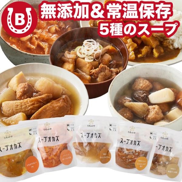 スープ 5種 カレー おでん 豚汁 無添加 常温保存可能 内野屋 uchipac レトルトスープ ス...