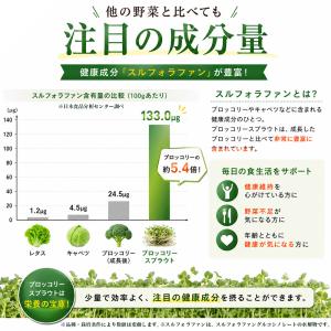 国産 ブロッコリースプラウト 40g (5袋)...の詳細画像3