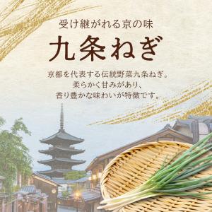 京都府産 乾燥 九条ネギ 20g 無添加 長期...の詳細画像2