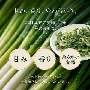 京都府産 乾燥 九条ネギ 20g 無添加 長期...の詳細画像3