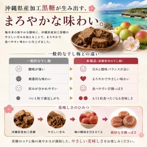 沖縄県産 加工黒糖使用 しっとり 種なし 干し...の詳細画像2